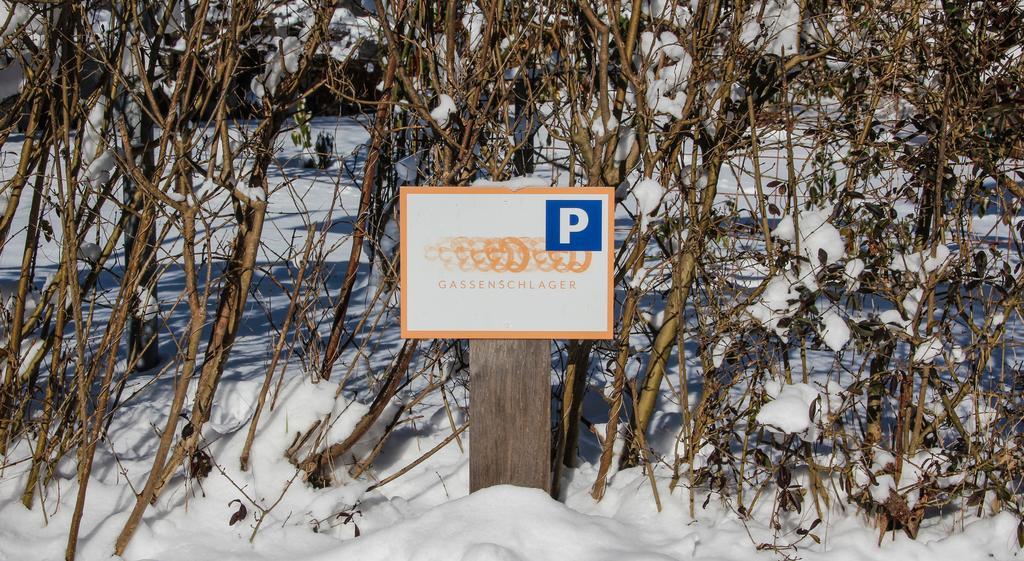 Riedz Apartments Innsbruck- Zentrales Apartmenthaus Mit Gruener Oase ภายนอก รูปภาพ
