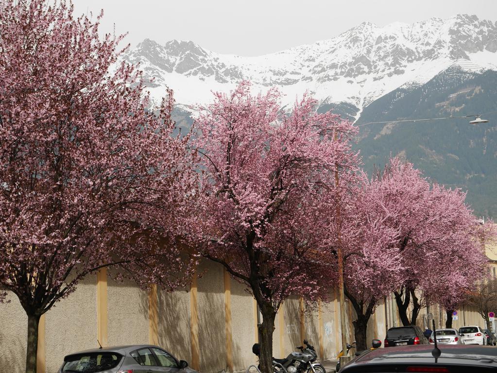 Riedz Apartments Innsbruck- Zentrales Apartmenthaus Mit Gruener Oase ภายนอก รูปภาพ